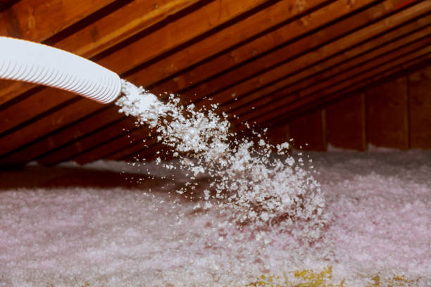 Best Types of Insulation in Williamsburg, FL