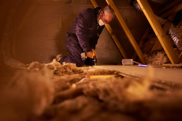 Best Commercial Insulation in Williamsburg, FL